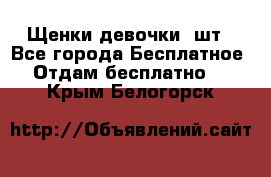 Щенки девочки 4шт - Все города Бесплатное » Отдам бесплатно   . Крым,Белогорск